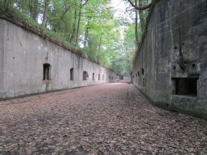 Fort Cognelée