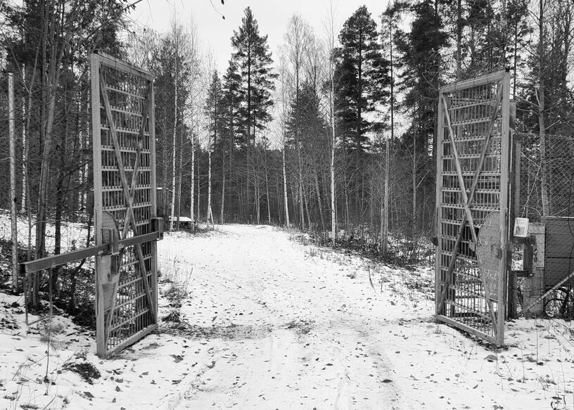 Iiksenvaara game area