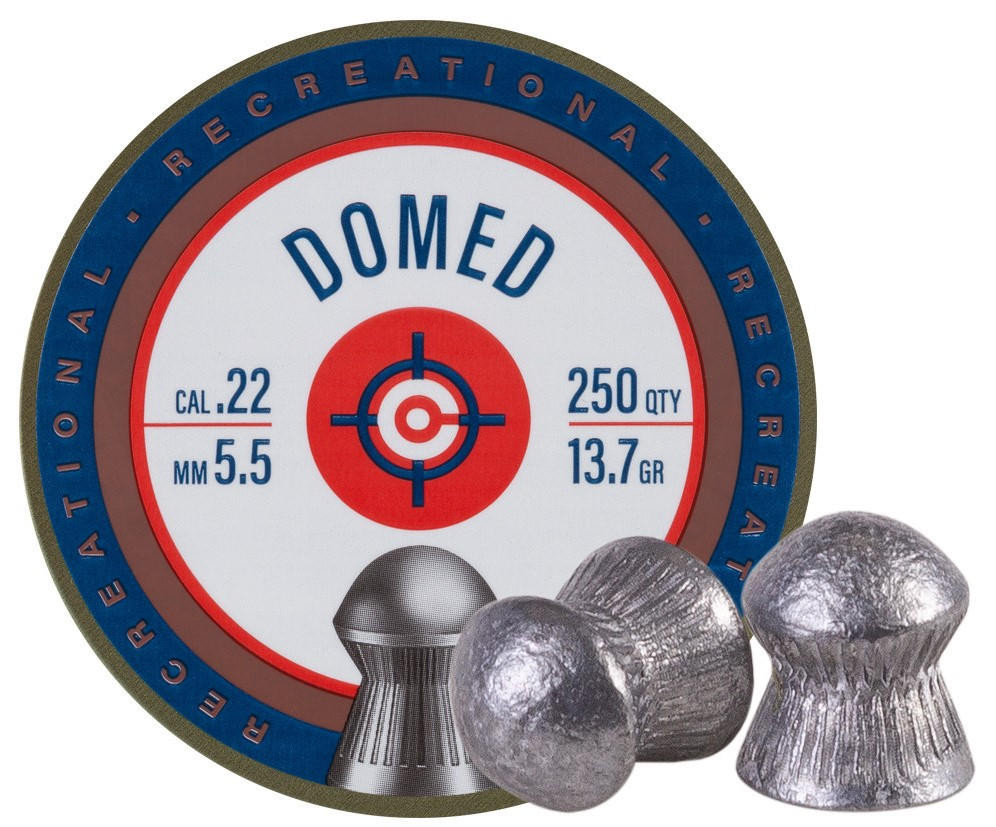 Crosman Essential .22 Cal 13.7 Grains Domed Pellets, 250ct, Silver