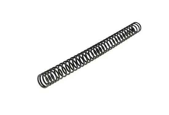 M120 AEG spring
