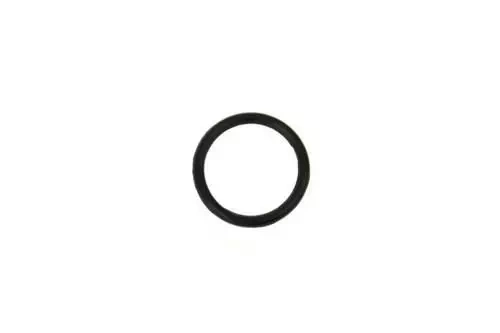 Piston Head Seal