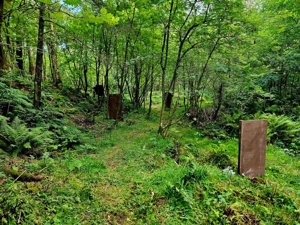 Rogaland: Viking Airsoft