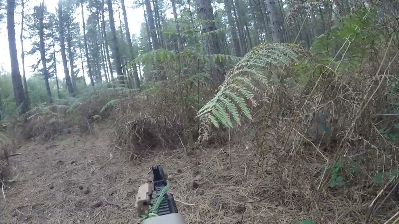 Division 22 Airsoft