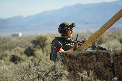 Black Eagle Airsoft